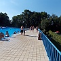 Bild (79)